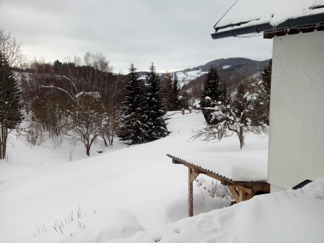 Frantiskov 17 Apartamento Rokytnice nad Jizerou Exterior foto