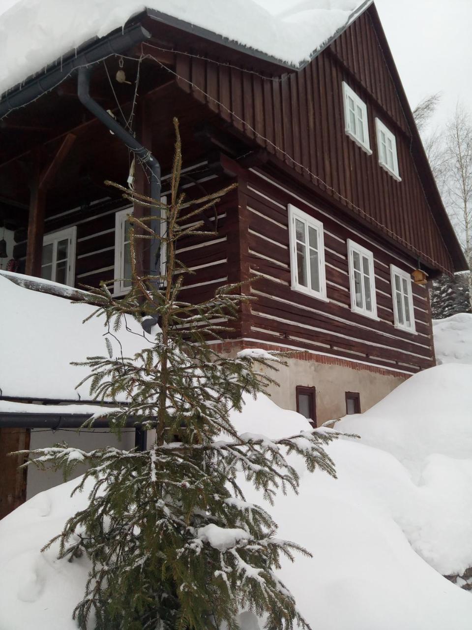 Frantiskov 17 Apartamento Rokytnice nad Jizerou Exterior foto
